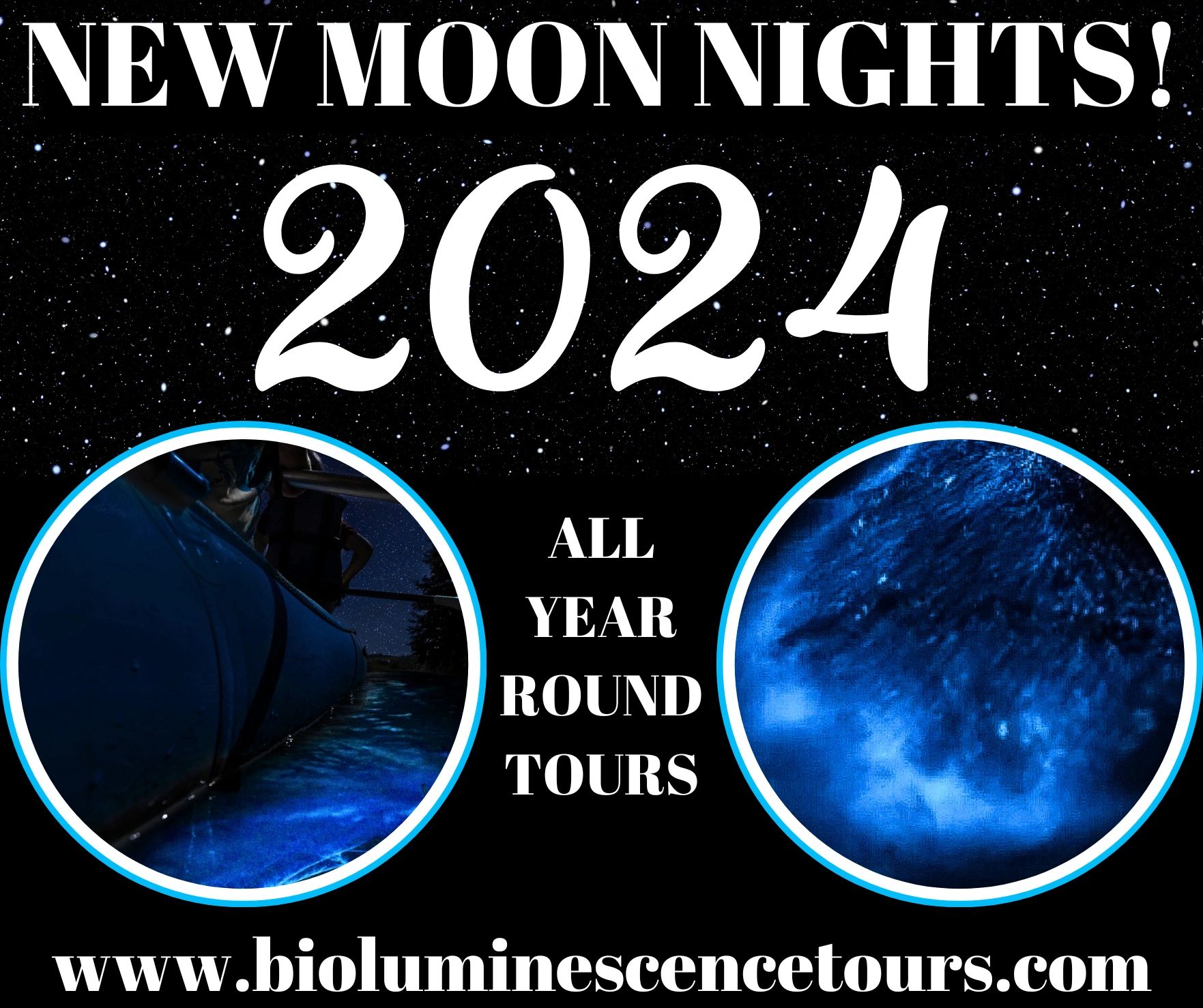 The 2024 New Moon Schedule for the Best Bioluminescence Viewing!